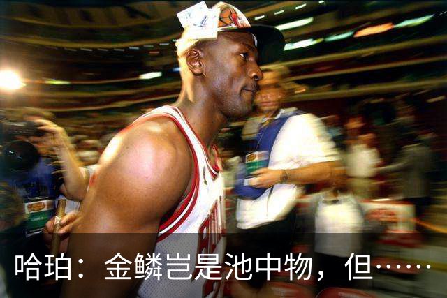 哈珀：金鳞岂是池中物，但……