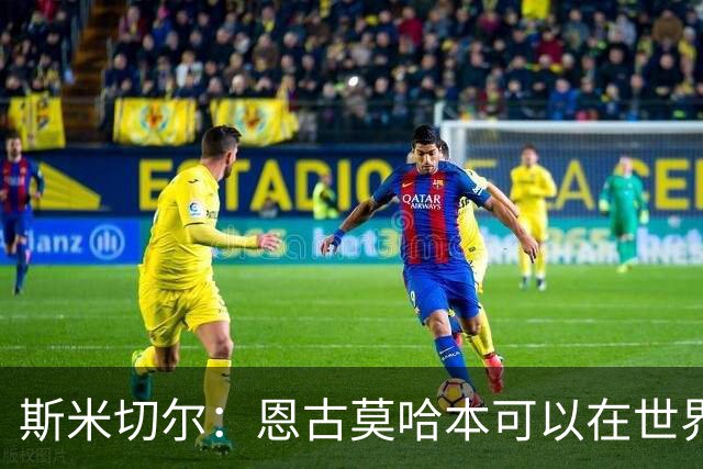 斯米切尔：恩古莫哈本可以在世界杯改变局势，但他能参加下一届
